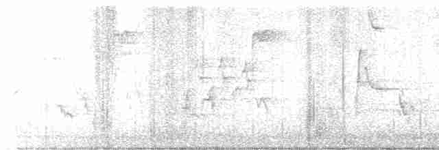 drozdec černohlavý - ML619355827
