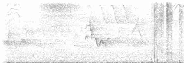 lesňáček modropláštíkový - ML619355832