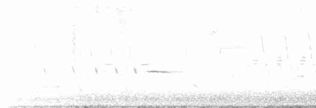 Common Yellowthroat - ML619355876