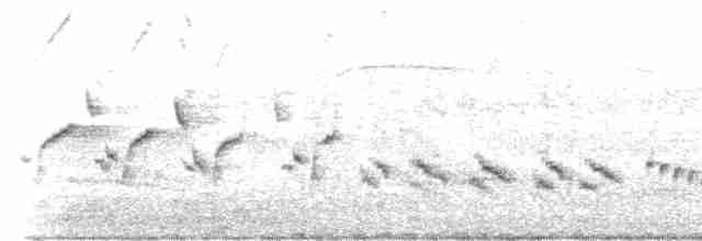 Пересмішник багатоголосий - ML619355926