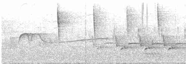 Cerulean Warbler - ML619356128