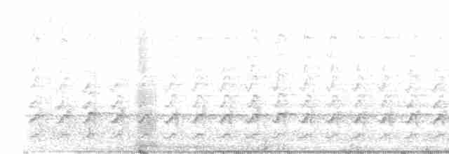 Шилоклювый дятел [группа cafer] - ML619356139