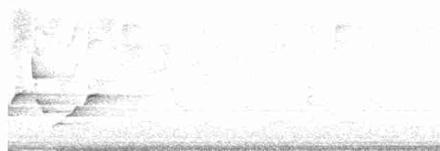 Karolina Çıtkuşu - ML619356255
