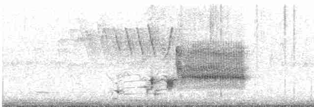 vlhovec červenokřídlý - ML619356286