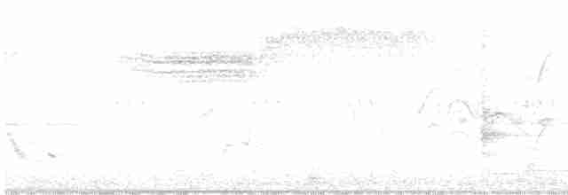 雑種 キンバネアメリカムシクイ ｘ アオバネアメリカムシクイ（F1雑種） - ML619356485