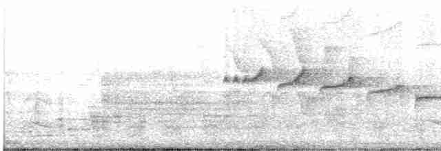 Каньонный крапивник - ML619356497