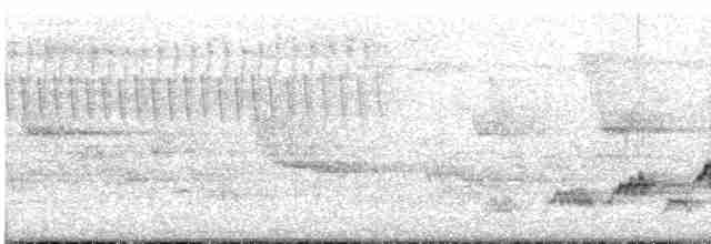 Дрізд-короткодзьоб Cвенсона - ML619356544