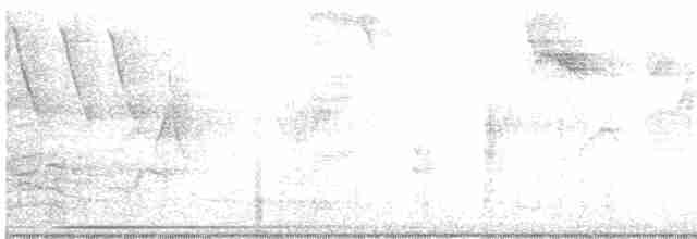 Пересмішник сірий - ML619356547