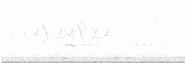קוקיה שחורת-מקור - ML619356591