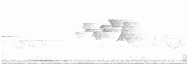 סבכון לבן-זנב - ML619356618