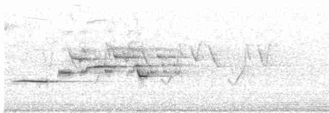 Münzevi Bülbül Ardıcı - ML619357217