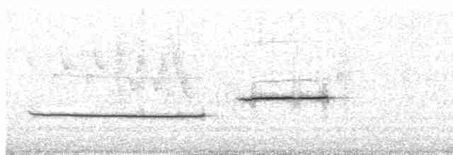 גיבתונית לבנת-גרון - ML619357251