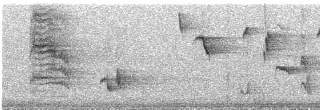 Пересмішник сірий - ML619357516