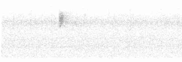 Common Yellowthroat - ML619357576