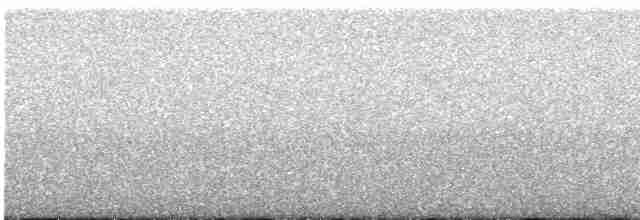 Weißkronen-Olivtyrann - ML619357614