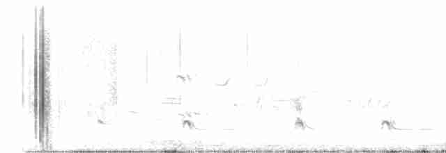 Перепелиця строкатобока - ML619358131