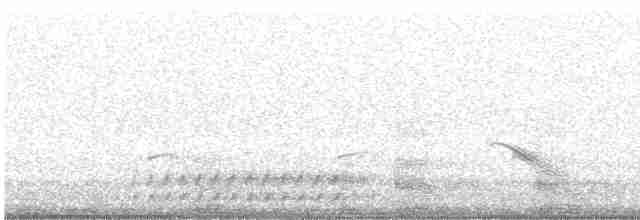 Бурый соловьиный дрозд - ML619358456