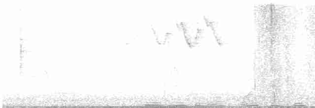 Paruline noir et blanc - ML619358576