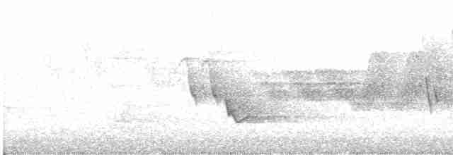 Дроздовый певун - ML619359093