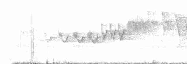 Cerulean Warbler - ML619359665