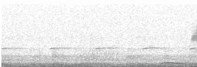 Chouette rayée - ML619359757