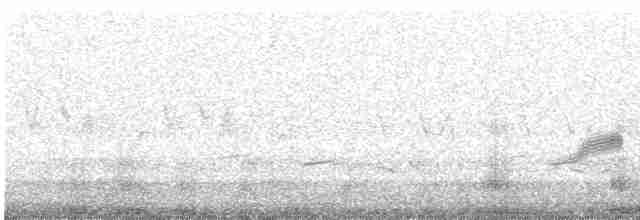 Дрізд-короткодзьоб бурий - ML619359775