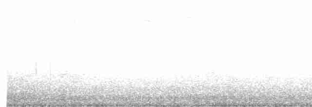 Карнатка бліда - ML619359865