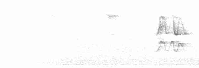 Icterine Warbler - ML619359884