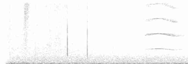 長耳鴞 - ML619359924