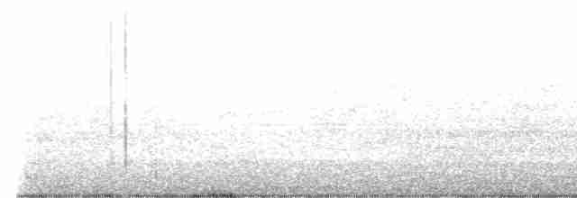Paruline à gorge grise - ML619359942