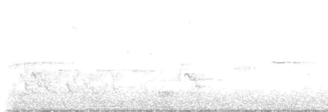 Малая вильсония - ML619360669