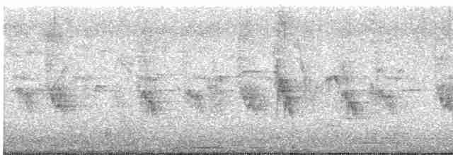 holub hřivnáč - ML619360693