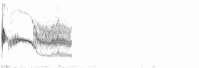 Kaya Çıtkuşu - ML619361028