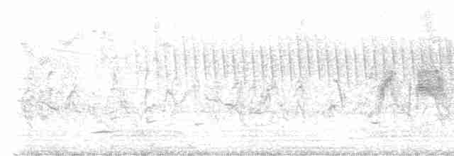 tyranovec vrbový - ML619361076