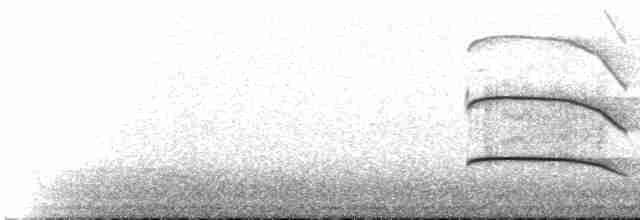 Çizgili Kulaklı Baykuş - ML619361089