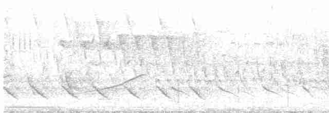 סנונית רפתות - ML619361115