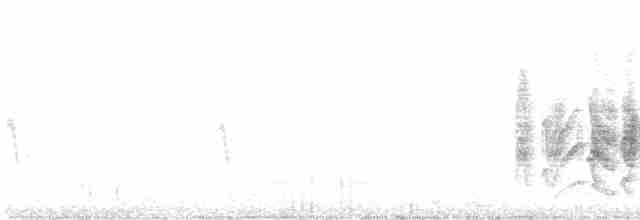 Vireo de Bell (arizonae) - ML619361124