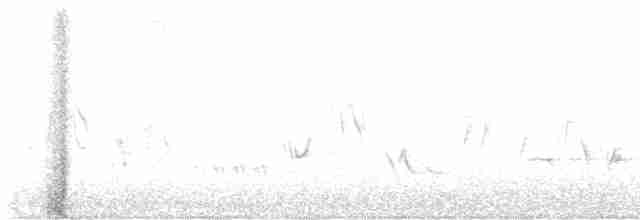 gråsolitærtrost - ML619361630