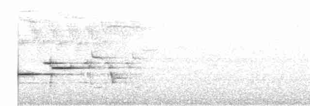 Münzevi Bülbül Ardıcı - ML619361855