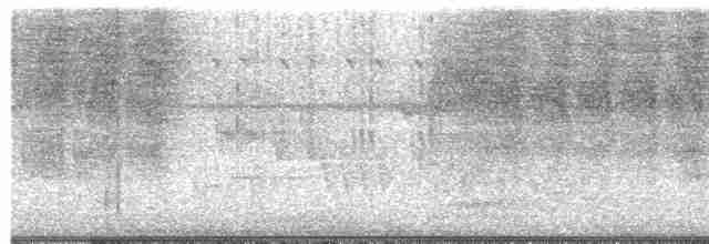 Каролинский крапивник - ML619361856