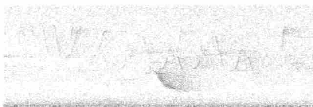 Дрізд-короткодзьоб бурий - ML619361933