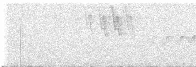 Cerulean Warbler - ML619362209