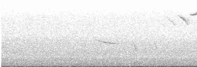 Münzevi Bülbül Ardıcı - ML619362316