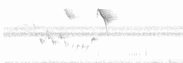 Planalto Slaty-Antshrike - ML619362841