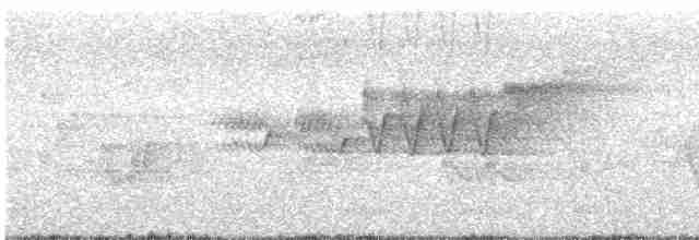 Cerulean Warbler - ML619362928