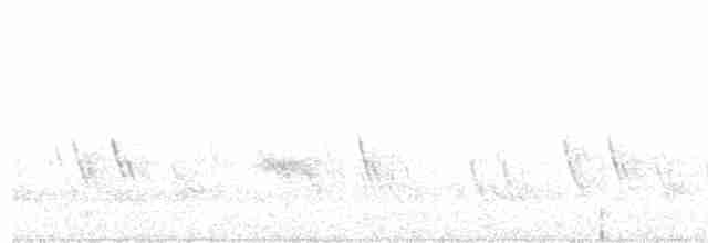 Büyük Mor Kırlangıç - ML619362974
