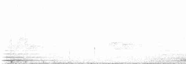 Paruline noir et blanc - ML619363327