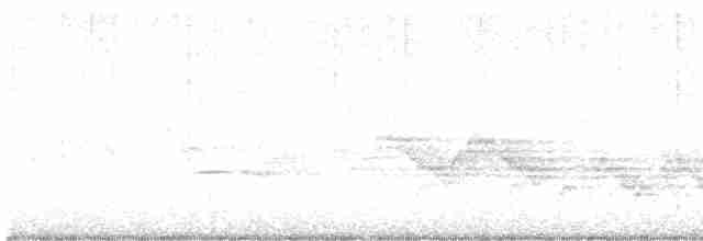 Дрізд-короткодзьоб бурий - ML619363456