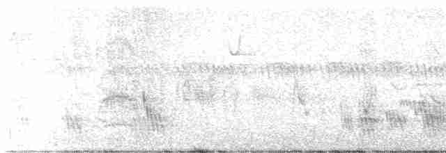 Golondrina Purpúrea - ML619363635