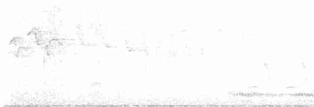 Paruline rayée - ML619363724